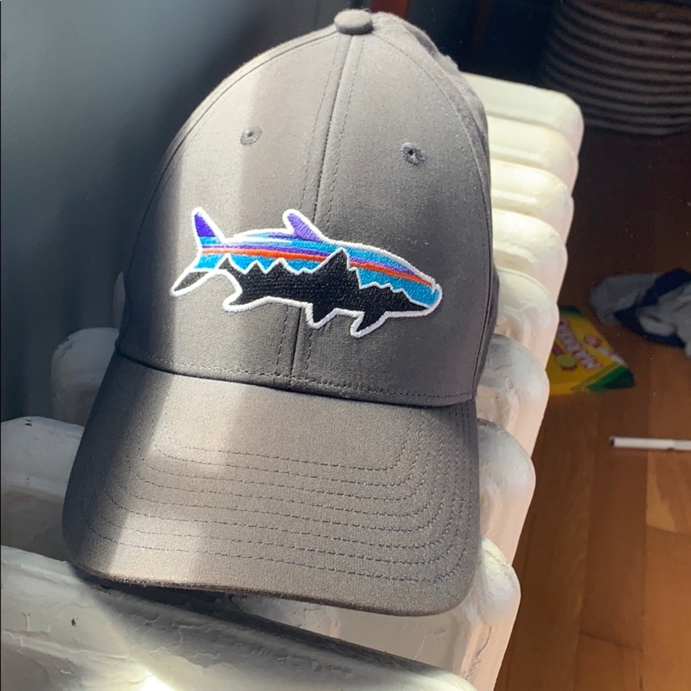 Patagonia stretch fit hat